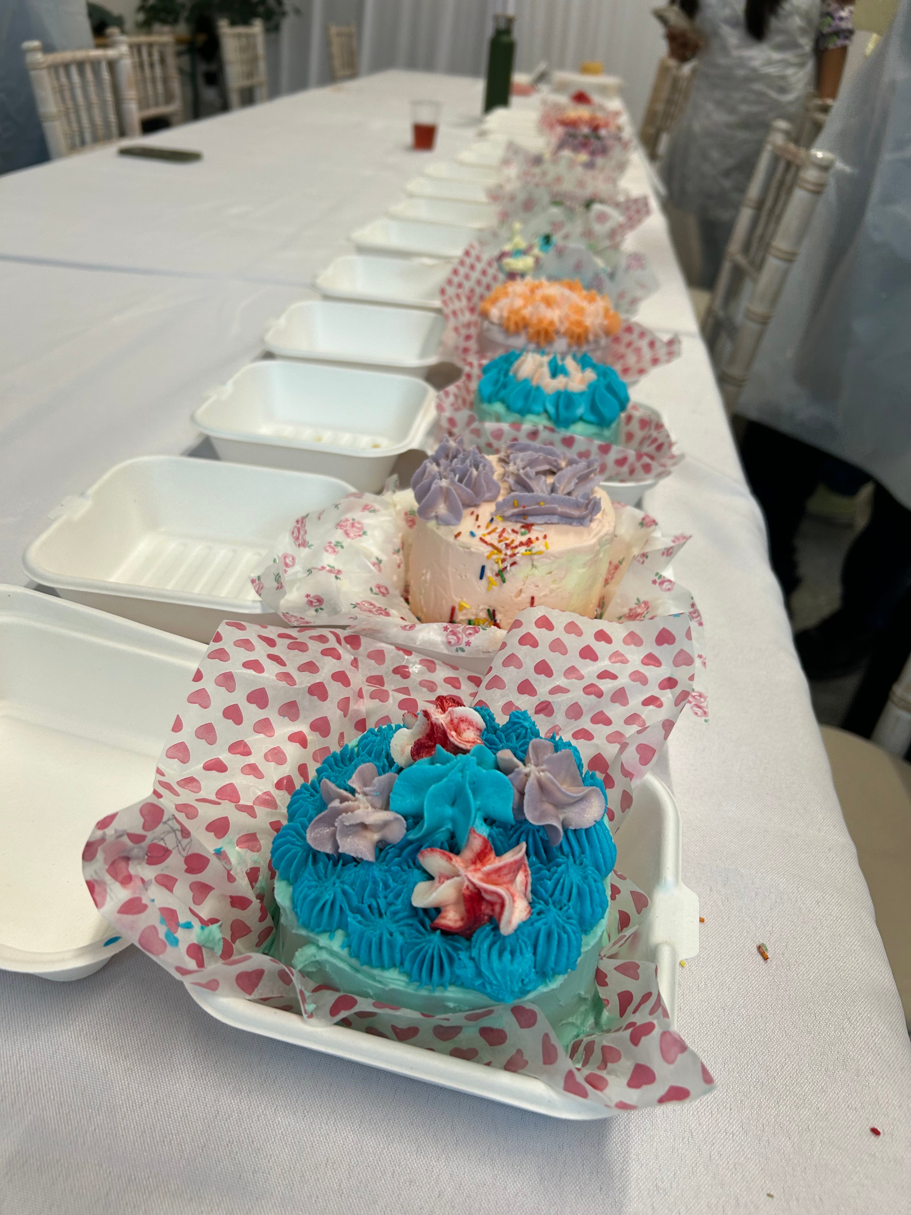 Bento Cake Decorating Class – Learn & Create Your Own Cake